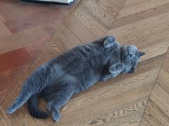 -Me Coffee下午茶艺术空间