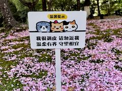 -苏州河梦清园环保主题公园