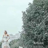 浪漫婚礼
