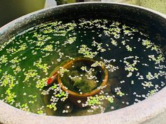 -金谷里艺术馆