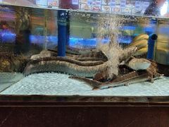 -阿伟海鲜楼·福建菜(延寿店)