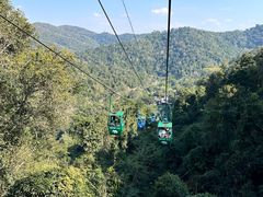 -野象谷景区
