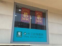 -瑞派长江宠物医院·猫科·外科·24小时夜护(谊城公寓分院)