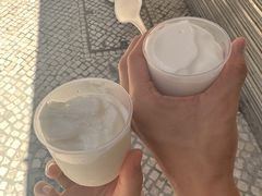 -洪馨椰子