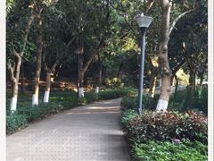 -燕晗山郊野公园