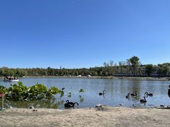 -长春市南湖公园