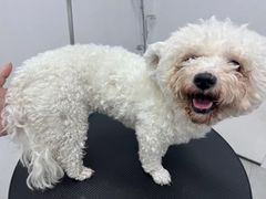 -comecome来吧宠物(奥克斯中心店)