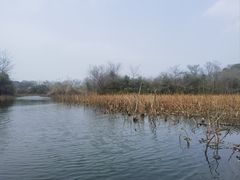 -西溪国家湿地公园