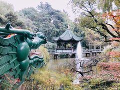 -申粤轩酒楼·三十年粤菜经典(丁香花园店)