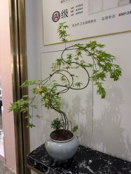 点击看大图 -Dr.U博士医疗美容医院