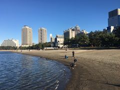 -台场海滨公园船码头