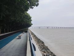 -大湾区中央湿地公园