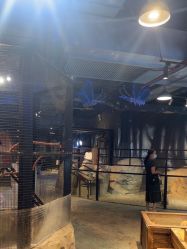 -酷嗒动物文化乐园(cutezoo西溪乐天城店)