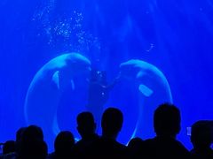 -多彩贵州城极地海洋世界