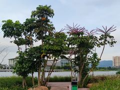 -琅岐红光湖公园