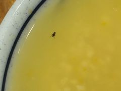 陕北有机小黄米粥-陇上秦轩西安biangbiang面(EFC欧美金融商业城店)