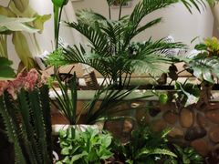 -北里·4k影院式足疗SPA馆(观音桥店)