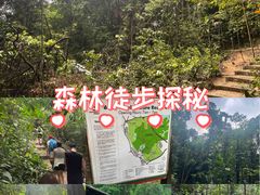 -武吉知马自然保护区