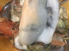 -蚝专家(北滘店)