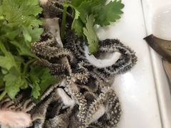 -杨记小骨头羊杂馆(南五马路店)