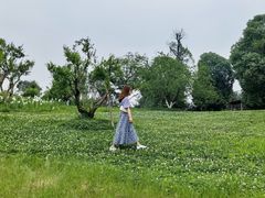 -秀丽东方