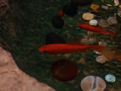 -虹御轩·传承江浙菜(虹桥店)