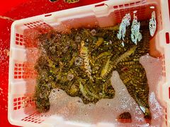 -芦潮港集贸市场