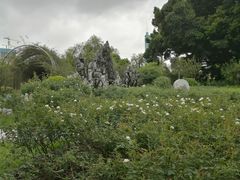 -人民公园(罗湖区)