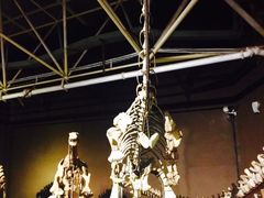 -世界恐龙谷景区