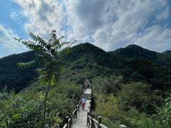 -大岭沟猕猴桃谷风景区