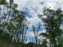 -白鹭湾湿地公园