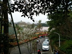 -武汉大学-樱园