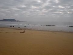 -漳州滨海火山岛自然生态风景区