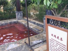 -英德宝晶宫天鹅湖茶语温泉
