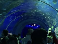 -北戴河圣蓝海洋公园