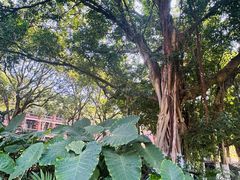 -厦门大学(思明校区)