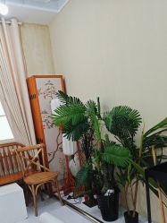 -小阿福儿童摄影(华中智谷店)