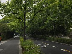 -杭州植物园