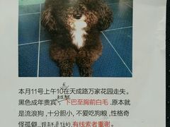 -宠颐生嘉德动物医院