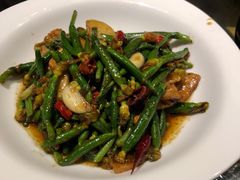 时迁黄瓜芽-兴农记