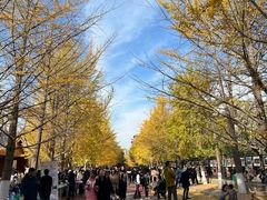 -辽宁大学(崇山校区)