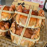 吃胖蟹🦀