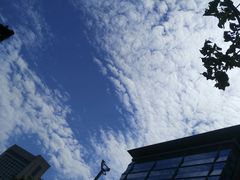 -怡咖啡·自助餐·西安香格里拉
