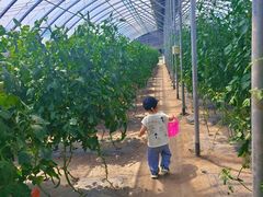 -兴芮温泉度假区