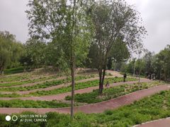 -东郊湿地公园