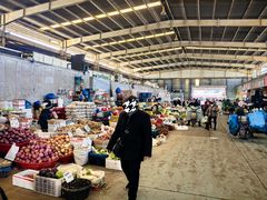 -上海龙吴水胜海发市场