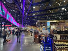 -谢列梅捷沃国际机场