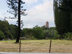 -深圳仙湖植物园