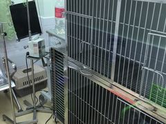 -荔康动物医院(康王北路店)