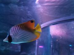 -沈阳海洋探索中心